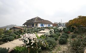 Safari Danube Delta